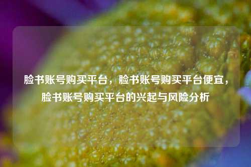 脸书账号购买平台，脸书账号购买平台便宜，脸书账号购买平台的兴起与风险分析