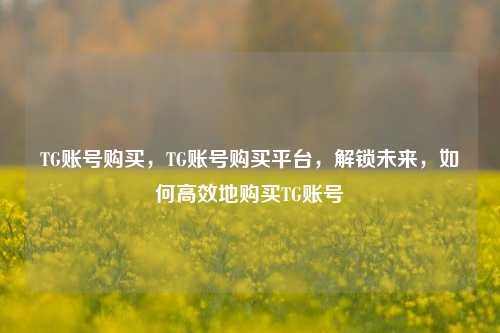 TG账号购买，TG账号购买平台，解锁未来，如何高效地购买TG账号
