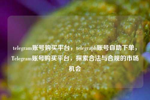 telegram账号购买平台，telegraph账号自助下单，Telegram账号购买平台，探索合法与合规的市场机会