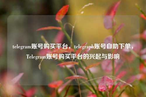 telegram账号购买平台，telegraph账号自助下单，Telegram账号购买平台的兴起与影响