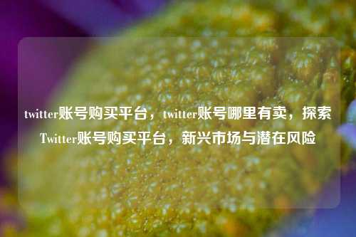twitter账号购买平台，twitter账号哪里有卖，探索Twitter账号购买平台，新兴市场与潜在风险