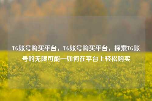 TG账号购买平台，TG账号购买平台，探索TG账号的无限可能—如何在平台上轻松购买