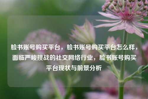 脸书账号购买平台，脸书账号购买平台怎么样，面临严峻挑战的社交网络行业，脸书账号购买平台现状与前景分析