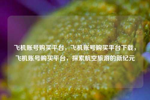 飞机账号购买平台，飞机账号购买平台下载，飞机账号购买平台，探索航空旅游的新纪元