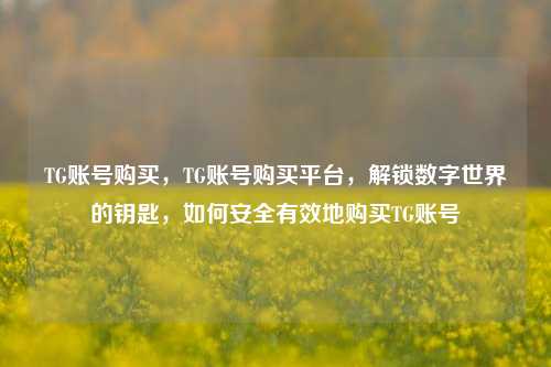 TG账号购买，TG账号购买平台，解锁数字世界的钥匙，如何安全有效地购买TG账号