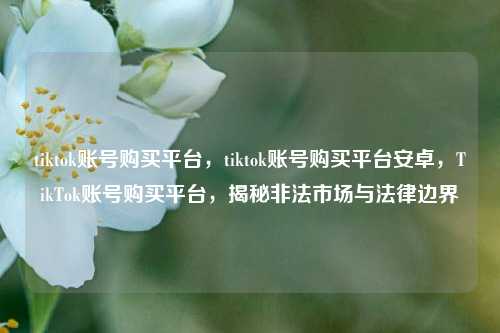 tiktok账号购买平台，tiktok账号购买平台安卓，TikTok账号购买平台，揭秘非法市场与法律边界