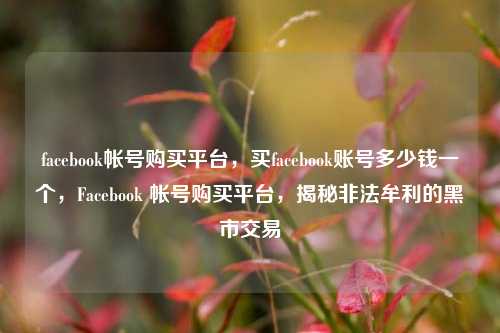 facebook帐号购买平台，买facebook账号多少钱一个，Facebook 帐号购买平台，揭秘非法牟利的黑市交易