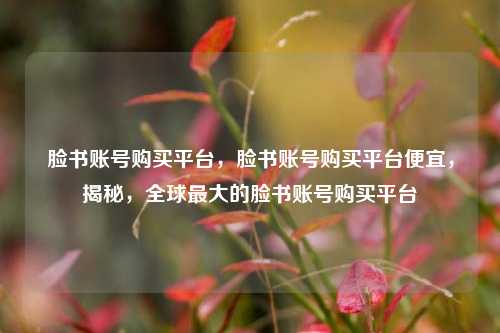 脸书账号购买平台，脸书账号购买平台便宜，揭秘，全球最大的脸书账号购买平台