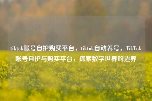 tiktok账号自护购买平台，tiktok自动养号，TikTok账号自护与购买平台，探索数字世界的边界