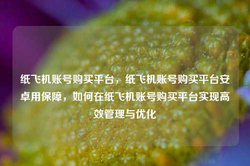 纸飞机账号购买平台，纸飞机账号购买平台安卓用保障，如何在纸飞机账号购买平台实现高效管理与优化