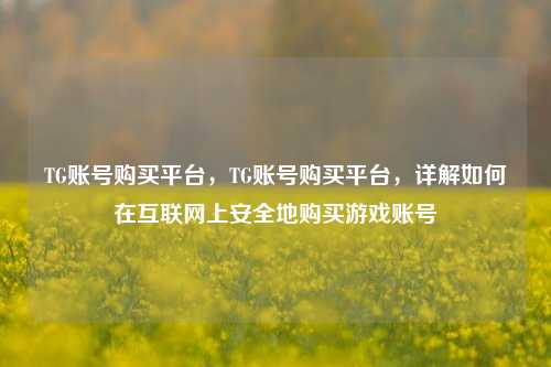 TG账号购买平台，TG账号购买平台	，详解如何在互联网上安全地购买游戏账号  第1张