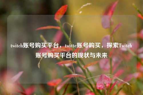 twitch账号购买平台，twitte账号购买，探索Twitch账号购买平台的现状与未来