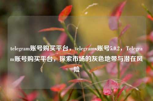telegram账号购买平台，telegramx账号5.0.2，Telegram账号购买平台，探索市场的灰色地带与潜在风险