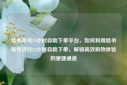 脸书账号24小时自助下单平台，如何利用脸书账号进行24小时自助下单，解锁高效购物体验的便捷通道