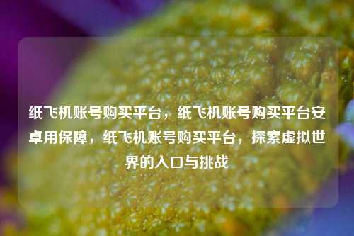 纸飞机账号购买平台，纸飞机账号购买平台安卓用保障，纸飞机账号购买平台，探索虚拟世界的入口与挑战