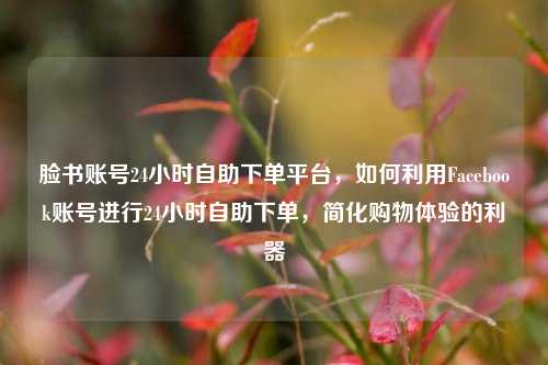 脸书账号24小时自助下单平台，如何利用Facebook账号进行24小时自助下单，简化购物体验的利器