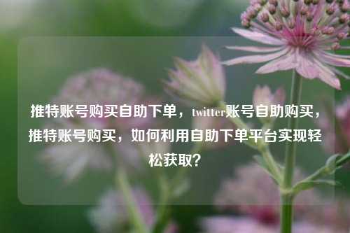 推特账号购买自助下单，twitter账号自助购买，推特账号购买，如何利用自助下单平台实现轻松获取？
