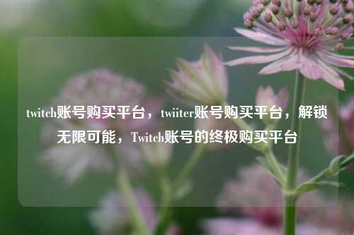 twitch账号购买平台，twiiter账号购买平台，解锁无限可能，Twitch账号的终极购买平台