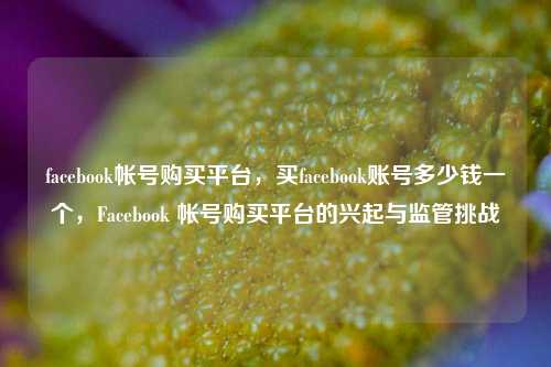 facebook帐号购买平台，买facebook账号多少钱一个，Facebook 帐号购买平台的兴起与监管挑战