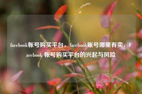 facebook帐号购买平台	，facebook账号哪里有卖，Facebook 帐号购买平台的兴起与风险  第1张