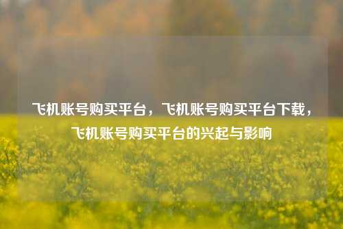 飞机账号购买平台，飞机账号购买平台下载，飞机账号购买平台的兴起与影响
