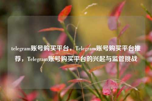 telegram账号购买平台，Telegram账号购买平台推荐，Telegram账号购买平台的兴起与监管挑战