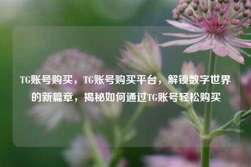 TG账号购买，TG账号购买平台，解锁数字世界的新篇章，揭秘如何通过TG账号轻松购买