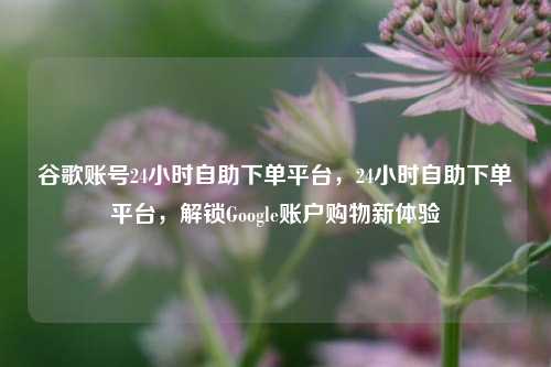 谷歌账号24小时自助下单平台，24小时自助下单平台，解锁Google账户购物新体验