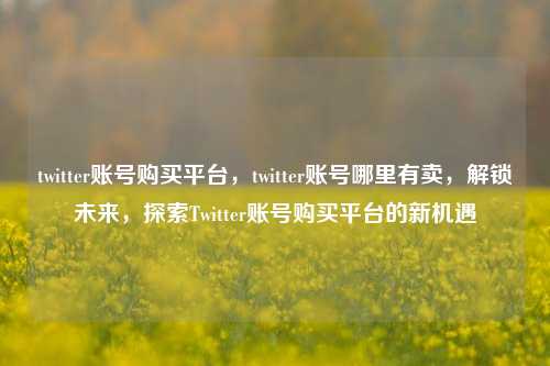 twitter账号购买平台，twitter账号哪里有卖，解锁未来，探索Twitter账号购买平台的新机遇