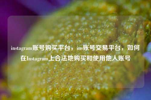 instagram账号购买平台，ins账号交易平台，如何在Instagram上合法地购买和使用他人账号