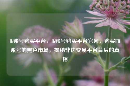 fb账号购买平台，fb账号购买平台官网，购买FB账号的黑色市场，揭秘非法交易平台背后的真相
