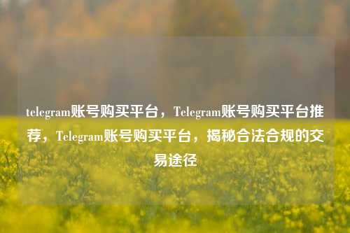 telegram账号购买平台，Telegram账号购买平台推荐，Telegram账号购买平台，揭秘合法合规的交易途径