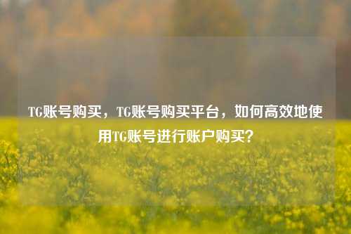 TG账号购买，TG账号购买平台，如何高效地使用TG账号进行账户购买？