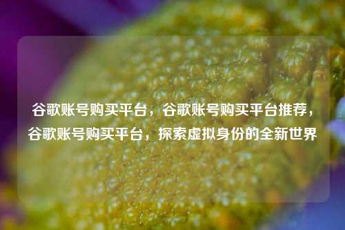 谷歌账号购买平台，谷歌账号购买平台推荐，谷歌账号购买平台，探索虚拟身份的全新世界