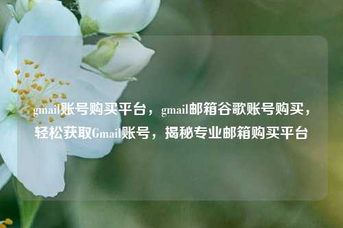 gmail账号购买平台，gmail邮箱谷歌账号购买，轻松获取Gmail账号，揭秘专业邮箱购买平台