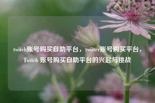 twitch账号购买自助平台，twiiter账号购买平台，Twitch 账号购买自助平台的兴起与挑战  第1张