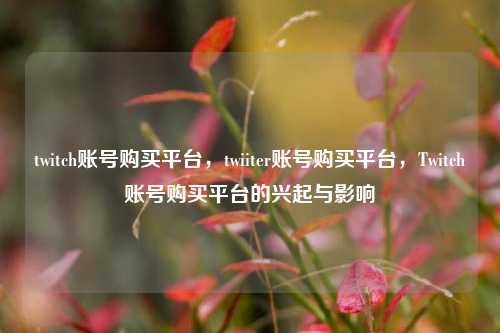 twitch账号购买平台，twiiter账号购买平台，Twitch账号购买平台的兴起与影响