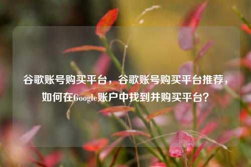 谷歌账号购买平台，谷歌账号购买平台推荐，如何在Google账户中找到并购买平台？