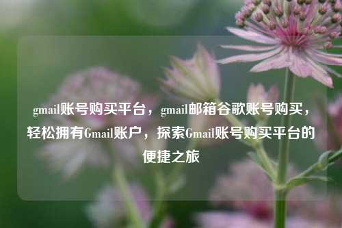 gmail账号购买平台，gmail邮箱谷歌账号购买，轻松拥有Gmail账户，探索Gmail账号购买平台的便捷之旅
