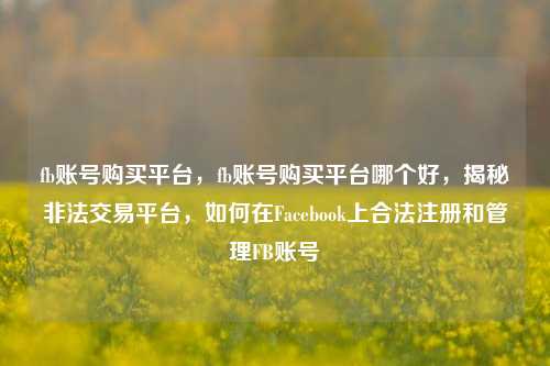 fb账号购买平台，fb账号购买平台哪个好，揭秘非法交易平台，如何在Facebook上合法注册和管理FB账号