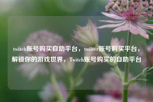 twitch账号购买自助平台，twiiter账号购买平台，解锁你的游戏世界，Twitch账号购买的自助平台