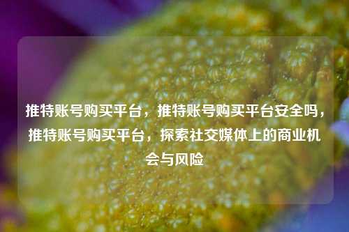 推特账号购买平台，推特账号购买平台安全吗，推特账号购买平台，探索社交媒体上的商业机会与风险