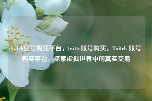 twitch账号购买平台，twitte账号购买，Twitch 账号购买平台，探索虚拟世界中的真实交易