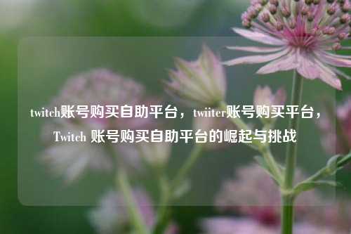 twitch账号购买自助平台，twiiter账号购买平台，Twitch 账号购买自助平台的崛起与挑战