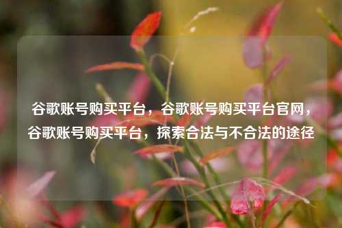 谷歌账号购买平台，谷歌账号购买平台官网，谷歌账号购买平台，探索合法与不合法的途径