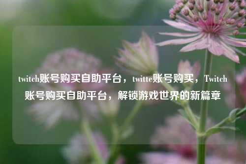 twitch账号购买自助平台，twitte账号购买，Twitch账号购买自助平台，解锁游戏世界的新篇章