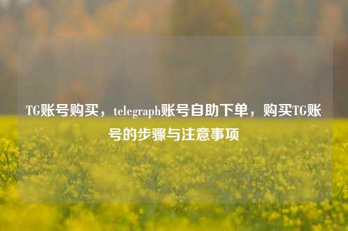 TG账号购买，telegraph账号自助下单，购买TG账号的步骤与注意事项