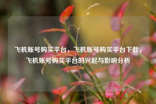 飞机账号购买平台，飞机账号购买平台下载，飞机账号购买平台的兴起与影响分析