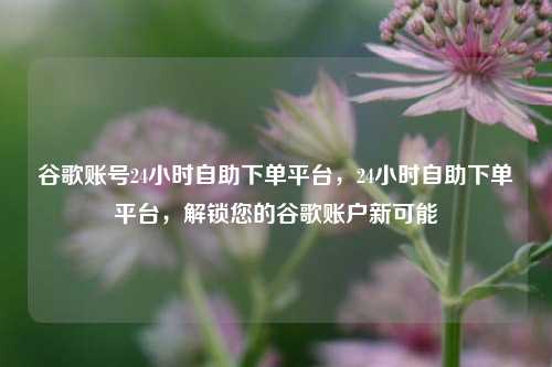 谷歌账号24小时自助下单平台，24小时自助下单平台，解锁您的谷歌账户新可能