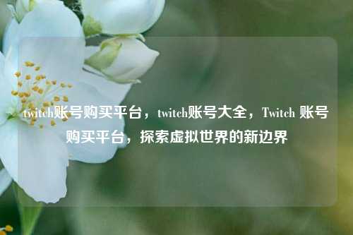 twitch账号购买平台，twitch账号大全，Twitch 账号购买平台，探索虚拟世界的新边界